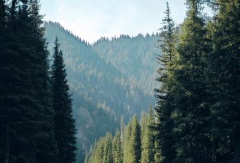 乌鲁木齐天山大峡谷+照壁山一日游【赠送风味午餐】【纯玩：全程0购物，无购物压力、摆脱行程购物烦恼，还原旅游本质，使您的旅行更愉悦】