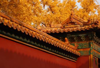 北京故宫博物馆一日游【暑期不涨价＋珍宝馆讲解＋资深导游精讲】【[产品保障]订单可在范围内免费退改，让您出游更加灵活有保障，行程透明无购物。】