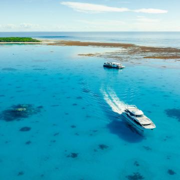 澳大利亚南部大堡礁Lady Musgrave格列夫人岛一日游