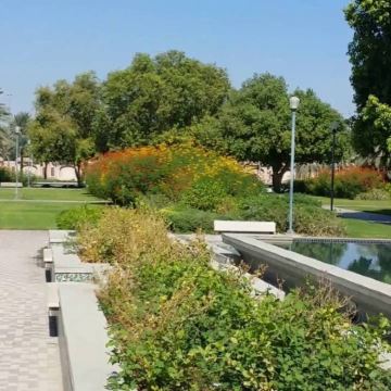 迪拜/阿布扎比往返 前往沙漠中的绿洲 艾因中文包车一日游