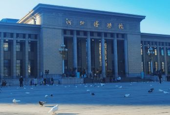 河北博物院 深度讲解 半日游【体验升级：小团定制+场景沉浸】