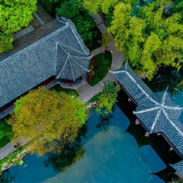 2-6 人精品小团｜乐山大佛祈福 + 三苏祠一日游上门接