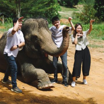 民丹岛野生动物园  | 生态农场 | 酒店接送