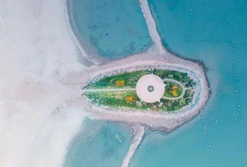 宿迁临淮古镇+洪泽湖湿地景区+洋河酒厂文化旅游一日游英文服务【提供多语种服务、全程专车接送、热门景点门票代订一站式旅行服务】