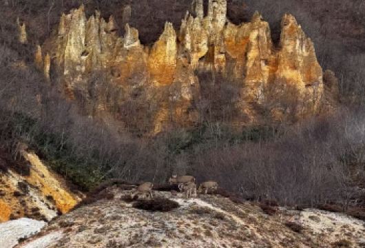日本北海道登别+支笏湖+洞爷湖【中文私家包车/包车巨惠】【尊享一对一高端行程定制，豪华包车专属礼遇，专业旅行顾问24小时恭候垂询。】