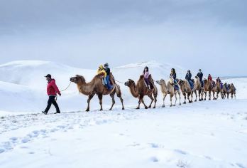 库布齐沙漠+五当召一日游【接送+小包团+下单即赠送酒店一晚】【[度假优选]：不仅是向导/导游，更是您的“活百科”和“贴心管家”，让风景更有故事。】