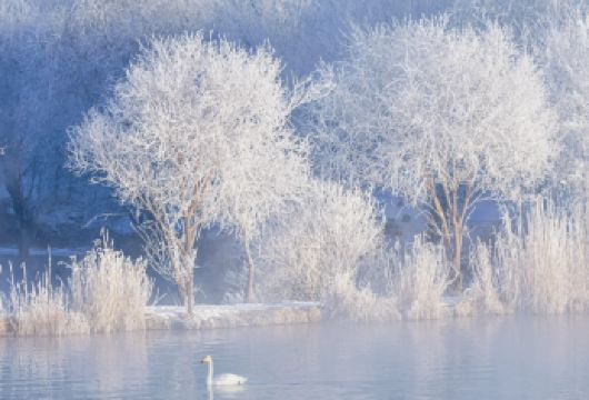 天鹅泉一日游【[成团保证]2 人起订，4-6 人精品小团】