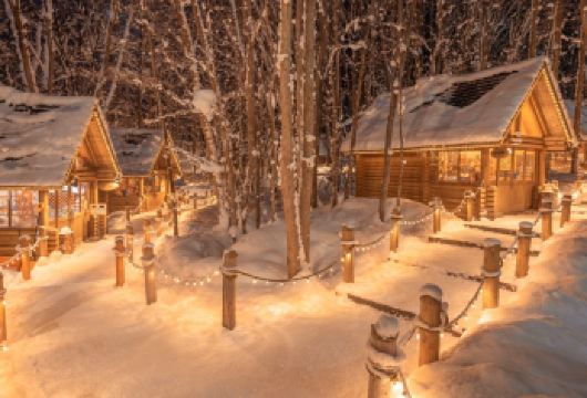北海道夜景：旭山动物园&青池&精灵露台一日游 【中英粤导游】【一次旅程，收获北海道两大冬季标志——观看旭山动物园企鹅散步与欣赏精灵露台梦幻夜景】