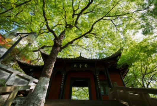 奉节白帝城·瞿塘峡景区+夔州古城一日游【8人精品小团纯玩】【[服务保障]自营，专业定制渝东北旅游10年，让你自由、省心、有保障，无套路完美品质游】