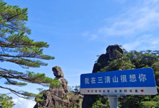 江西上饶三清山风景区一日游【可选上饶/婺源起止 纯玩无购物】【服务承诺：行程中无任何服务、真纯玩、纯净旅行！】