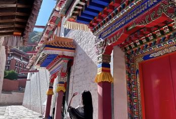 拉卜楞寺+桑科草原/上门接送小包团纯玩无购物【精品线路/深度体验/游玩自由/消费透明】