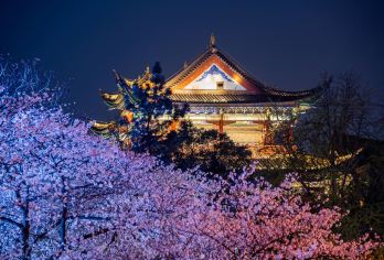 中国湖北+晴川阁+武汉欢乐谷一日游【多语种+私人定制游）【来一场说走就走的旅游吧，当地人带您Citywalk，可提供多语种的地陪人员，可接待来自不同国家客户】