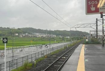 日本京都-琉璃光院-三千院-贵船神社-红叶满天 京都巡礼。【专业行程定制，精选热门景点，高效游玩不走回头路，贴心服务保障，轻松】