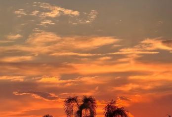 惠州出发双月湾包车10小时一天游/打卡狮子岛+海龟湾+情人堤【双湾四景一日览，山海浪漫尽惠州。】