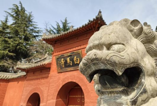 洛阳白马寺门票+资深人工讲解+大咖讲师+多场次可选【资深人工讲解、严选大咖老师。】