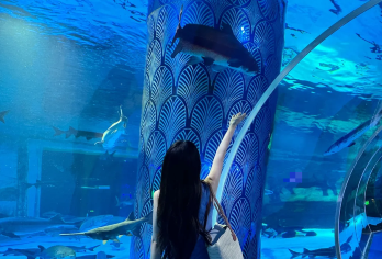 【司兼导】原始森林公园+湄公河水底世界+7D投影+美人鱼表演【6人小团，深度省心游，不打卡不走马观花，让旅行加倍温度；】