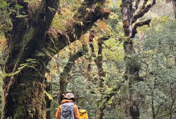 高黎贡山徒步【丛林探索+荒野厨房+露营地森林餐吧+温泉+溯溪【[私家线路]管家向导带您走进原始森林，看溪流瀑布，踏寻动植物，享受温泉泡脚，丛林烧烤，激流勇进...】