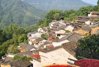 篁岭晒秋+江湾景区一日游【景德镇接送|拼小团】退伍小哥【[丰富玩乐]打造景德镇优享私家团，真纯玩无购物】