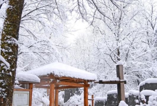 长白山西坡景区1日包车游【纯玩无购物】