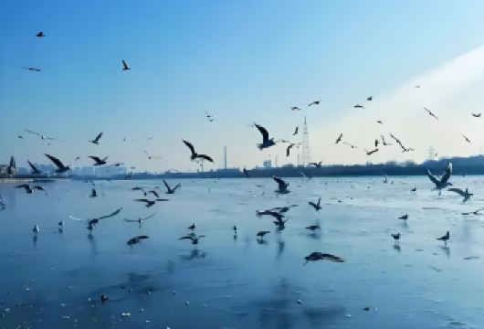 天津老码头+滨海图书馆+洋货市场 一日游∣私家团 包车游【私家团、包车游、无购物、无自费、不推销、不拼团、不拼车！】