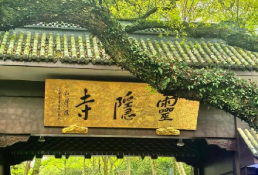 灵隐寺+飞来峰+天下第一财神庙半日游【北高峰上行索道+讲解】【[贴心服务，省力游玩]人工佛学讲解，解锁正确祈福知识，飞来峰历史佛学】