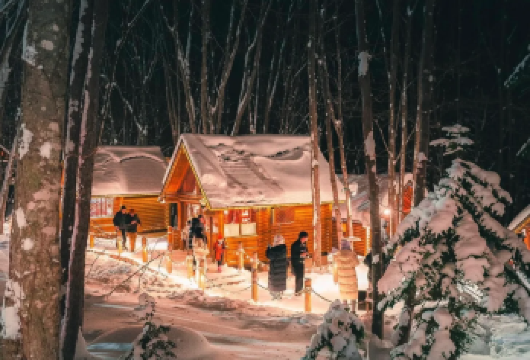 从札幌出发：动物园+圣诞树+白须瀑布+森林精灵露台一日游【9人纯玩小团丨一定范围内可上门接送】