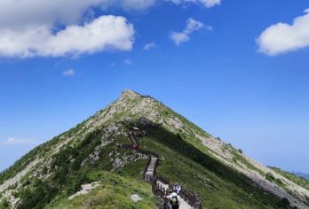 太白山国家森林公园一日游【西安旅游包车+畅游不限时】【[一对一包车]专车上门接送，车辆费用全含】