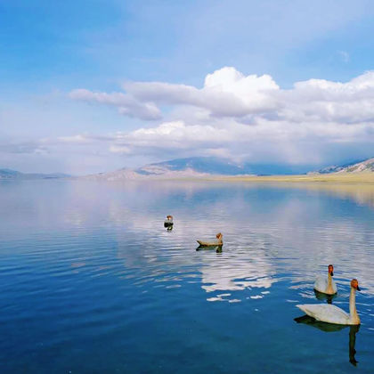 中国新疆伊宁市赛里木湖一日游