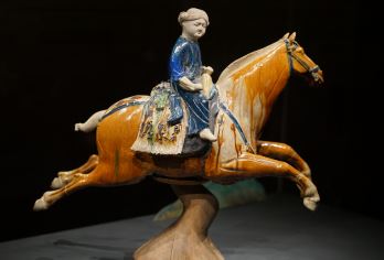 西安博物院+《驼铃传奇》秀一日游【人工讲解+自由出行】【探索发现，实践中了解历史，专业讲解带您见证悠久历史和灿烂文化！】