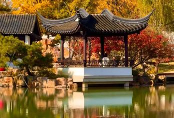 从江苏出发：狮子林+拙政园+同里古镇+退思园包车一日游【不用拼车，专享包车自由出行!】