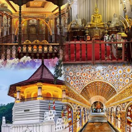 斯里兰卡科伦坡+阿努拉德普勒古城|穿越 2千年的圣树佛塔巡礼