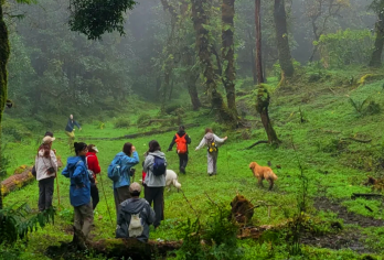 云南腾冲高黎贡山花寨大瀑布一日游（徒步高黎贡打卡大地茶海）【[高黎贡山采蘑菇、原始森林徒步、手抓饭、烧烤、私家温泉泡脚]轻徒步，探秘，美食】