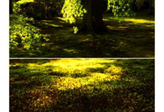 日本京都-琉璃光院-三千院-贵船神社-红叶满天 京都巡礼。【专业行程定制，精选热门景点，高效游玩不走回头路，贴心服务保障，轻松】