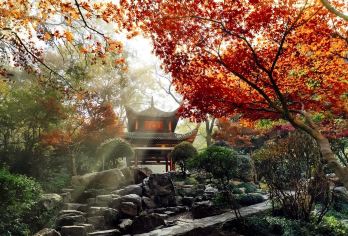 8:30集合◆无购物◆湖南省博物院+岳麓山+橘子洲长沙一日游【[严选·经典长沙]湖南博物馆，岳麓山，橘子洲，景区景点我们预约，深度游玩】