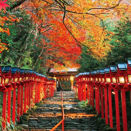 【9人精品小团】京都贵船神社+岚山+三千院一日游