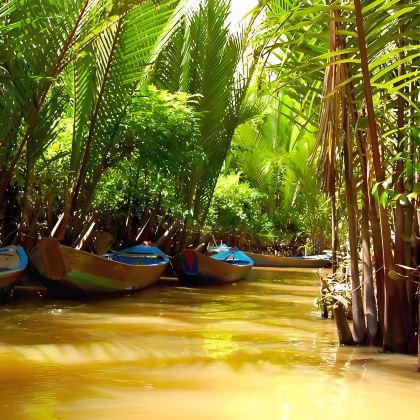 越南湄公河三角洲+椰子丛林游船|蜂蜜茶+越南午餐+VIP小团