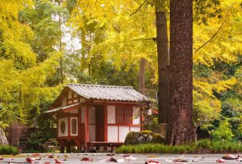成都：杜甫草堂+武侯祠+文殊坊+大熊猫 |中英多语定制包车#【资深司导一站到底式管家，深度体验热门景点，行程景点可调可定制】