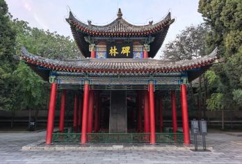 西安碑林博物馆|门票+15人小团拼团人工讲解服务|专业讲解【文博大咖老师的带领了解西安国家5A艺术宝库】