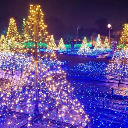 名古屋名花之里灯海+爵士之梦奥莱+奥莱温泉一日游【中文导游】