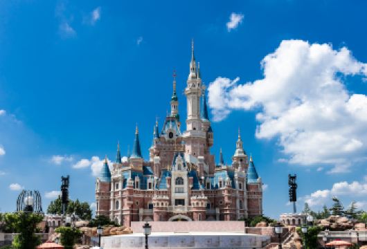 上海迪士尼度假区一日游【一对一管家8-10小时】不含门票【一对一管家贴身陪玩，灵活优化路线，高效打卡热门项目，告别盲目排队，轻松玩遍迪士尼！】