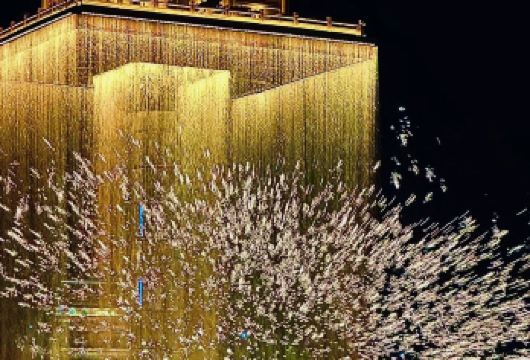 婺源篁岭+婺女洲一日游【可选8人小团 晒秋民俗/非遗打铁花】【白天赏篁岭晒秋，晚上夜游婺女洲，体验徽州不夜城，含《遇见·婺源》实景演出】