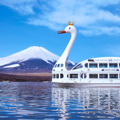 东京富士山双湖一日游【9人纯玩团可选酒店接送/白鸟船/骑行】
