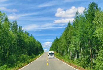 漠河+龙江第一湾+北极村+白桦林一日游·全景极北包车之旅【一天内串联 自然奇观（白桦林/龙江第一湾）+地理极点（中国最北点/乌苏里浅滩）】
