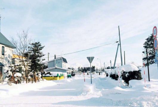 日本北海道小樽哨子馆+天狗山+小樽运河【中文包车+行程定制】【尊享一对一高端行程定制，豪华包车专属礼遇，专业旅行顾问24小时恭候垂询。】