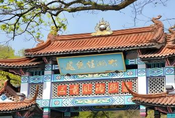 无锡太湖鼋头渚一日游【鸥遇之约&仙岛游船 纯玩含门票可自驾】【太湖佳绝处，樱花映长春帆影】