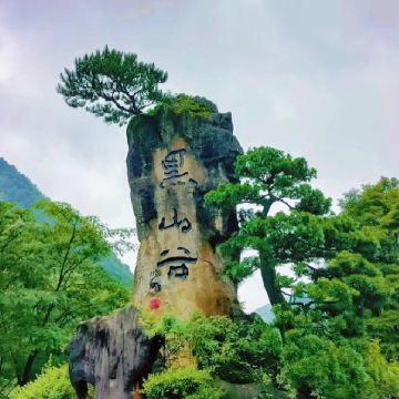 【私家VIP团】黑山谷+万盛石林一日游（一单一团、不拼团）