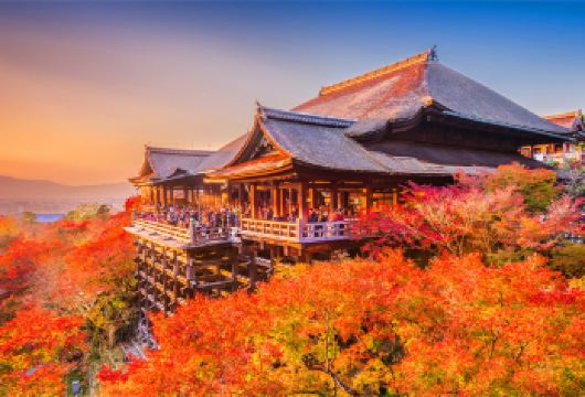 日本奈良公园+京都古寺庙+伏见稻荷大社一日游，喂萌鹿，览古寺【漫步京都古老寺庙清水寺，欣赏百年传统建筑】