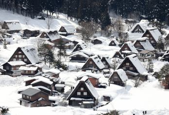 名古屋市区及周边游-白川乡/高山/下吕/富山/金泽/福井【中文专车/接机-定制行程】