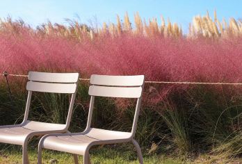 韩国济州西线1日游拼车 [小羊牧场+山茶花公园+柱状节理带]【济州岛西线一日游， 拼车游，跟团游，纯玩路线】