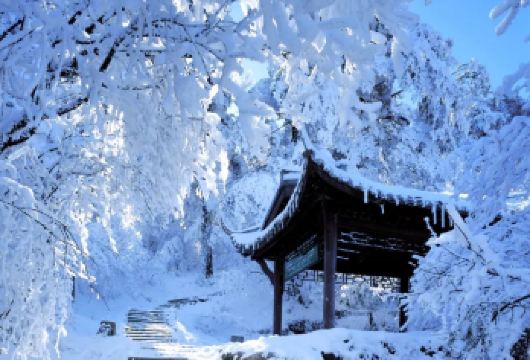 四川成都周边峨眉山一日游【省时省心+行程灵活+VIP包车一站式服务+中文司导】